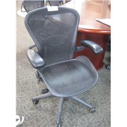 Herman Miller Ereon "B"  Task Chair