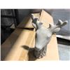 Image 1 : 18 CASES OF 8 DECORATIVE DEER HEADS PALLET INCLUDED IN LOT, NO BREAKING DOWN OF LOT