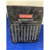 Image 2 : Craftsman Replacement Filter (6.77in x 8.46in)