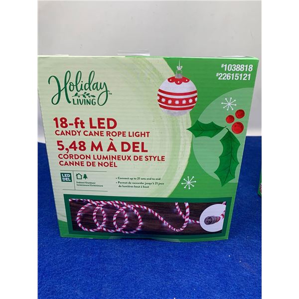 Holiday Living 18ft LED Candy Cane Rope Light