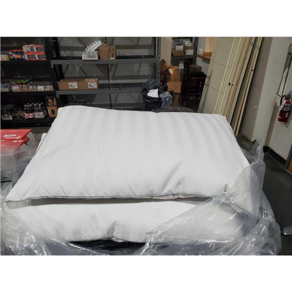 Lot of 2 Weaterproof Bed Pillows