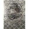 Image 2 : Antique 32"x 25 1/2" Patterned Glass Panel. NO SHIPPING