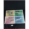 Image 2 : Nice Collection Of 9 12"x16' CP Air Prints