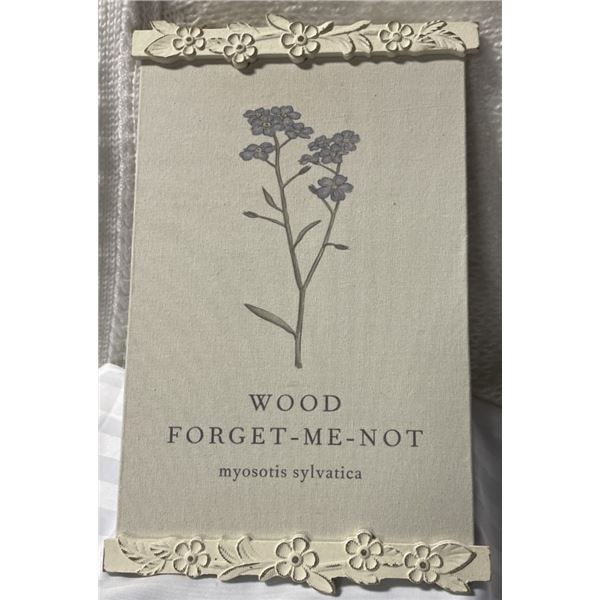 Forget Me Not Picture