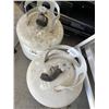Image 2 : Two Propane tanks , empty  NO SHIPPING