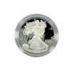2005-W American 1oz Silver Eagle