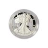 2020-W American 1oz Silver Eagle Proof