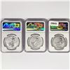 Image 2 : 2023 Set (3) 1oz G.B. S2Â£ NGC GEM UNC Q.