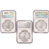Image 2 : 2023 Set (3) 1oz G.B. S2Â£ NGC GEM UNC Q.