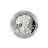 2020-W American 1oz Silver Eagle Proof