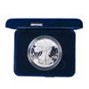 2020-W American 1oz Silver Eagle