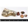 Image 1 : PETRIFIED WOOD WITH