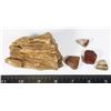 Image 1 : PETRIFIED WOOD WITH
