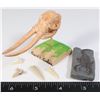 Image 1 : MASTODON PLASTIC SKULL COMES WITH REMOVABLE