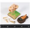 Image 1 : SABER TOOTH TIGER PLASTIC SKULL COMES WITH