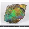 Image 1 : LARGE 5" X 4" GEM QUALITY AMMOLITE