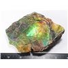 Image 3 : LARGE 5" X 4" GEM QUALITY AMMOLITE