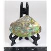 Image 2 : GEM QUALITY AMMOLITE HAND POLISHED