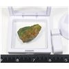 Image 2 : AMMOLITE IN FLOATING DISPLAY CASE WITH
