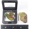 Image 2 : AMMOLITE IN FLOATING DISPLAY CASE AND NUGGET