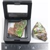 Image 2 : AMMOLITE IN FLOATING DISPLAY CASE AND NUGGET