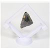 Image 1 : MEGALODON TOOTH COMES IN FLOATING DISPLAY