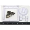 Image 2 : MEGALODON TOOTH COMES IN FLOATING DISPLAY