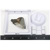 Image 3 : MEGALODON TOOTH COMES IN FLOATING DISPLAY