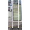 Image 2 : 10 FT ALUMINUM LADDER