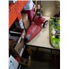 Image 2 : DARKSTAR DRAGON SKATEBOARD AND RADIO FLYER SCOOTER