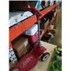 Image 3 : DARKSTAR DRAGON SKATEBOARD AND RADIO FLYER SCOOTER