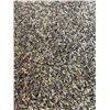 Image 2 : LARGE SHAG AREA CARPET APPROX 7FT X 10FT
