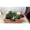 Image 1 : LOT OF ARTIFICIAL PLANTS AND 2 REAL PLANTS