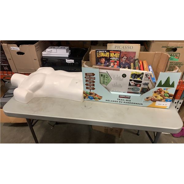 LOT OF BOOKS, MANNEQUIN - GUY FIERI, LEONARD NIMOY, PICASSO, MINECRAFT AND OTHER, JUSTIN BIEBER STIC
