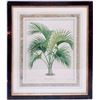 Image 2 : 1800s Botanical Prints