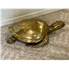 Image 2 : Brass Flip Top Turtle