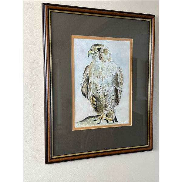 Framed Arabic Watercolor - sketch - Falcon