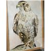 Image 2 : Framed Arabic Watercolor - sketch - Falcon