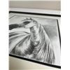 Image 2 : Arabian Horse Pencil Sketch Print