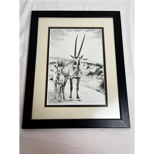 Arabic Oryx Pencil Sketch Print