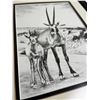 Image 2 : Arabic Oryx Pencil Sketch Print