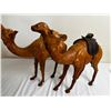 Image 3 : Arabic Leather Camels