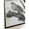 Image 2 : Falcon Pencil Sketch Print