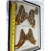 Image 3 : Framed Malaysian Atlas Moths