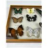 Image 2 : Framed Butterflies