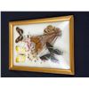 Image 1 : Framed Butterfly Art