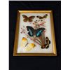 Image 1 : Framed Butterfly Art