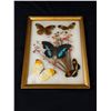 Image 1 : Framed Butterfly Art