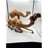 Image 1 : Leather Camels