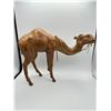 Image 3 : Leather Camels